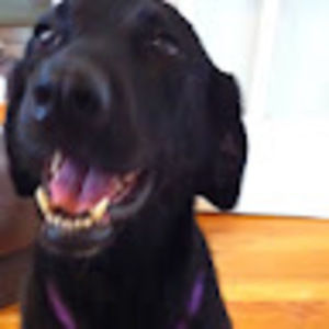 Meet your Posher, Todd